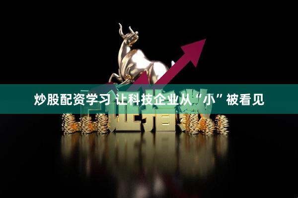 炒股配资学习 让科技企业从“小”被看见